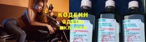 прущие грибы Балахна