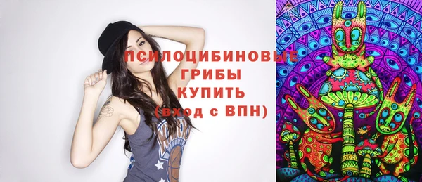 прущие грибы Балахна