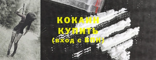 шишки Ростов